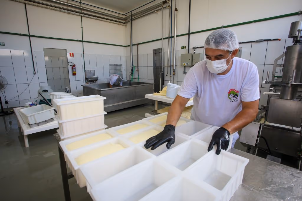 Governo de SP investe R$ 1,1 bilhão em inovação e sustentabilidade agrícola