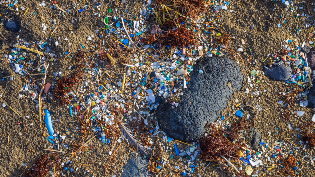 O impacto para saúde humana e para o planeta da poluição de 50 milhões de toneladas de microplástico por ano