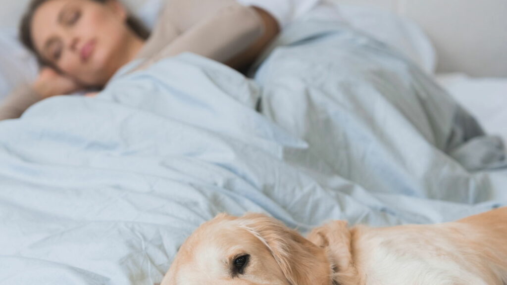 O que diz a psicologia sobre pessoas que gostam de dormir com seu animal de estimação