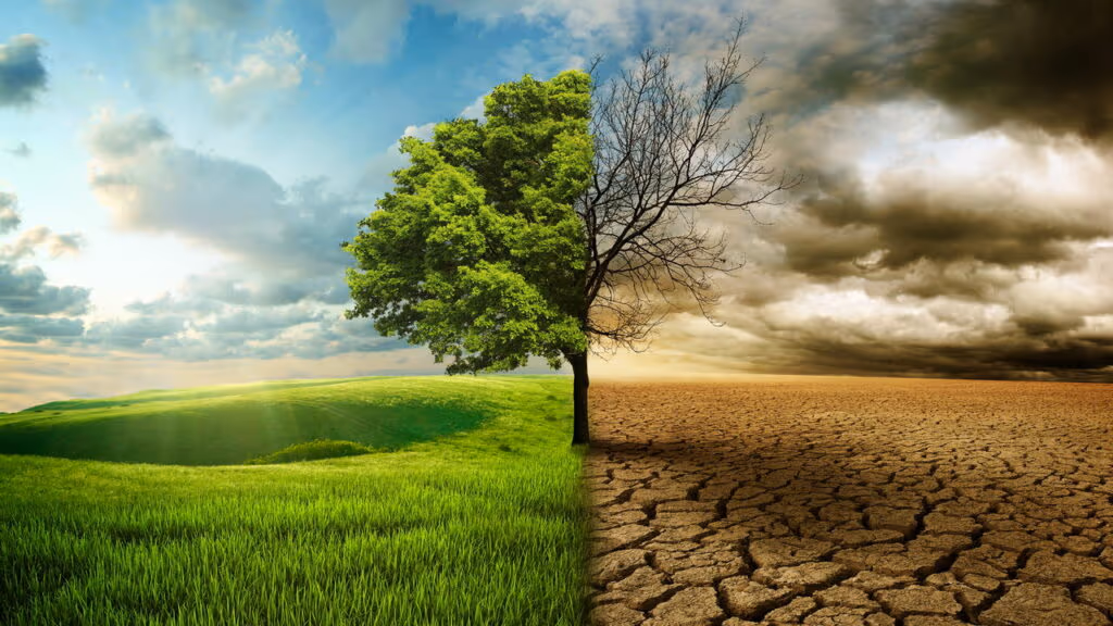 Piores impactos das mudanças climáticas têm 3 anos para serem evitados, diz estudo