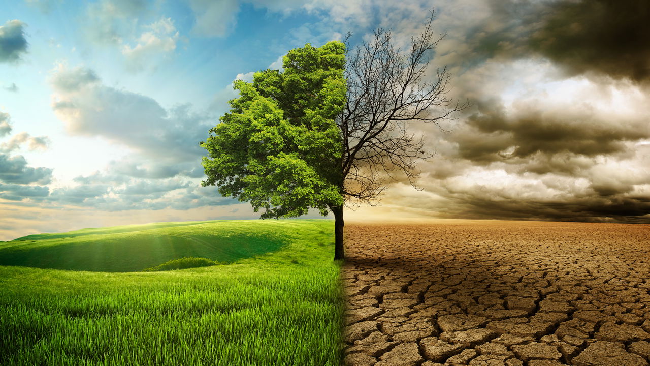 Piores impactos das mudanças climáticas têm 3 anos para serem evitados, diz estudo