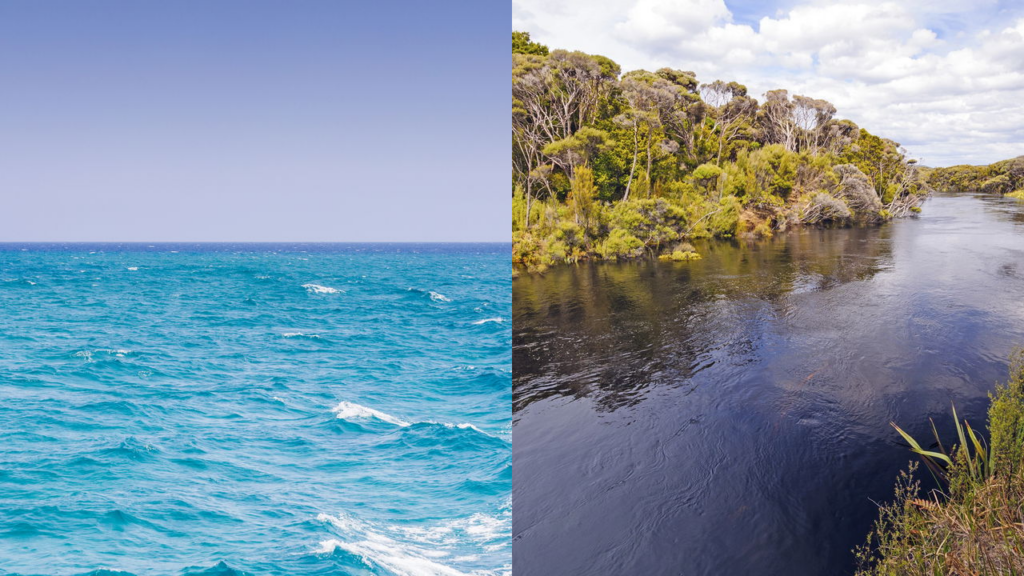 Por que a água do mar é salgada e a do rio é doce?