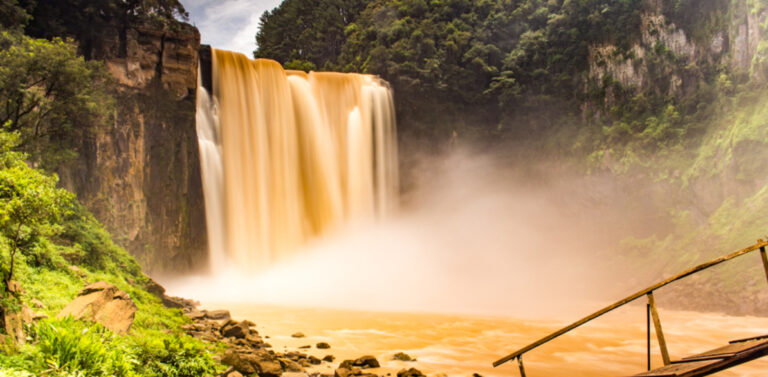 Imagem Item