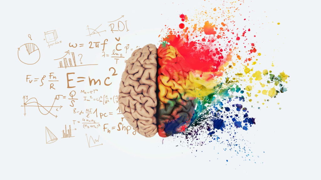 Qual a cor da inteligência A opinião da ciência sobre os tons favoritos das mentes brilhantes