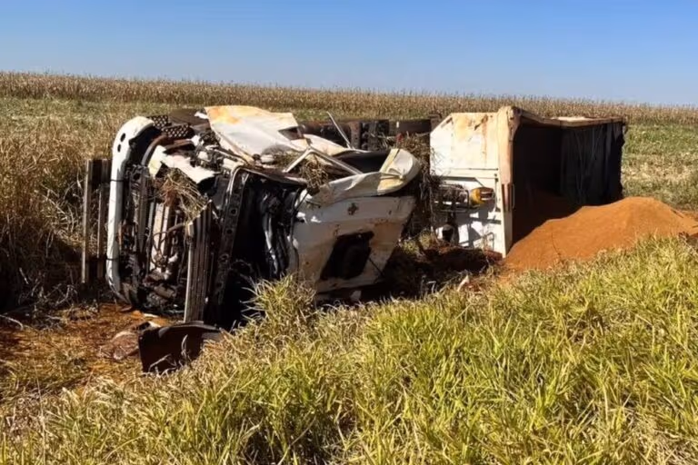 Acidente com caminhão na MS-162 mata motorista