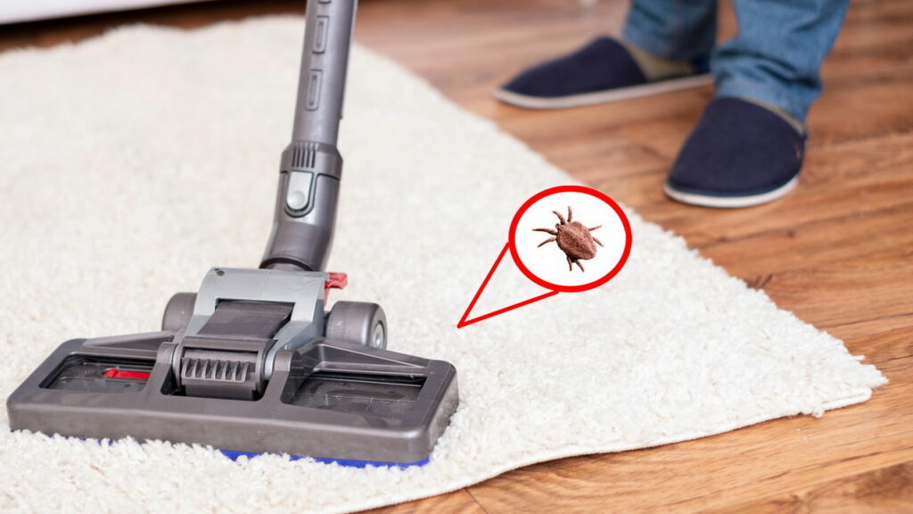 Adeus aos ácaros do colchão! estes são os 7 melhores métodos caseiros para eliminá-los