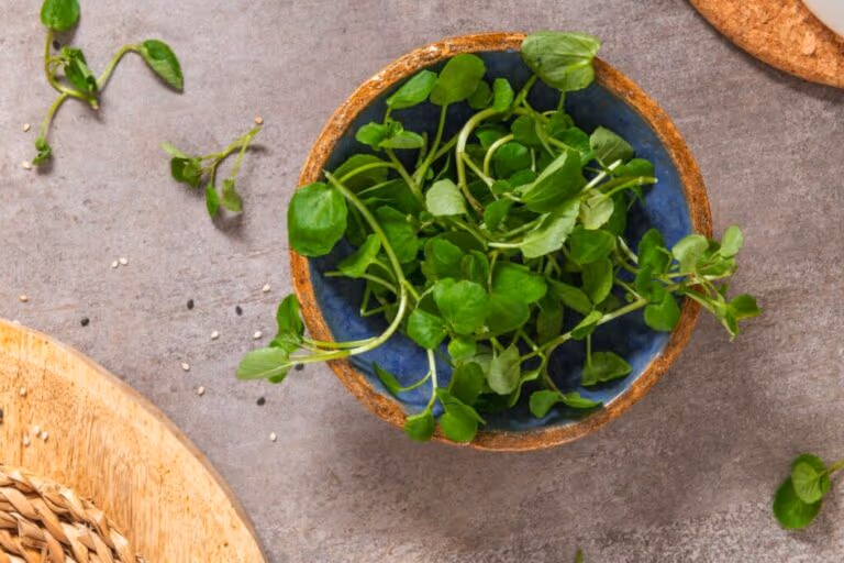 8 vegetais verdes-escuros que ajudam a prevenir doenças