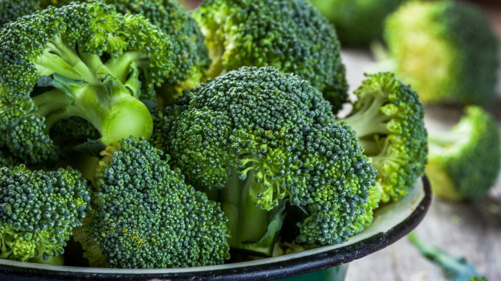 Cultive brócolis no quintal ou vaso e tenha hortaliças frescas o ano todo