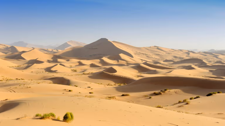 Maior deserto do mundo é revelado e não é o Saara