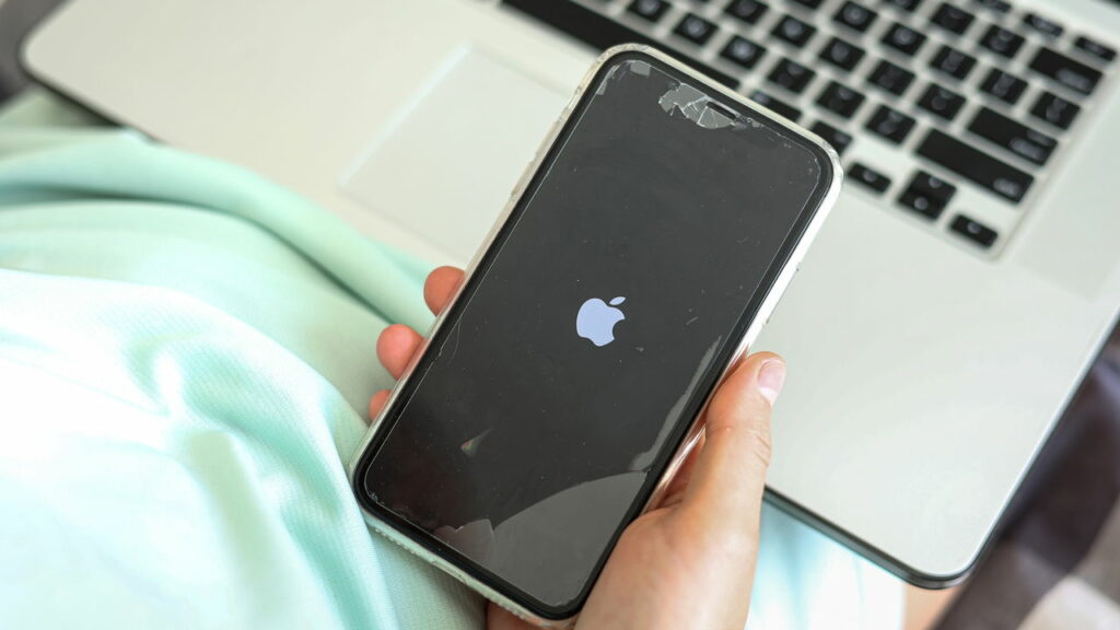 Veja como usar a câmera do iPhone para identificar qualquer coisa