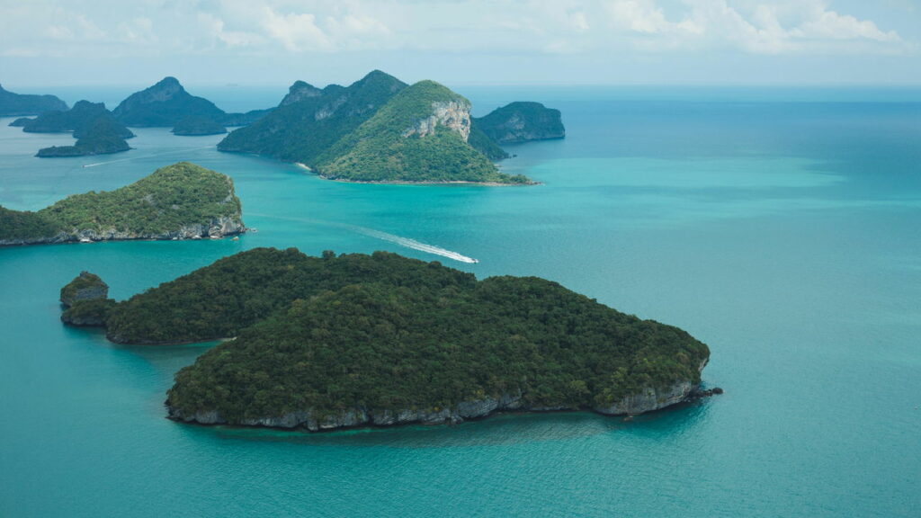 Como uma ilha árida esconde uma floresta perdida