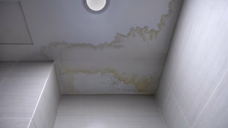 Imagem Item