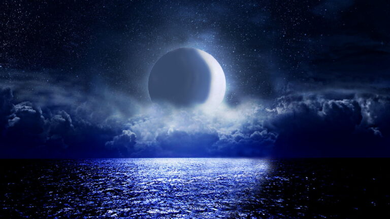 Imagem Item