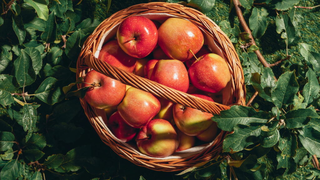 As frutas mais potentes para saciar a fome com poucas calorias