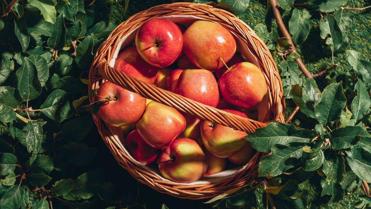 O que acontece com seu corpo ao comer maçã todos os dias?