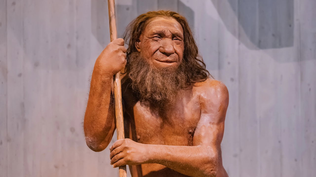 Seu avô das cavernas te deixaria no chinelo numa corrida