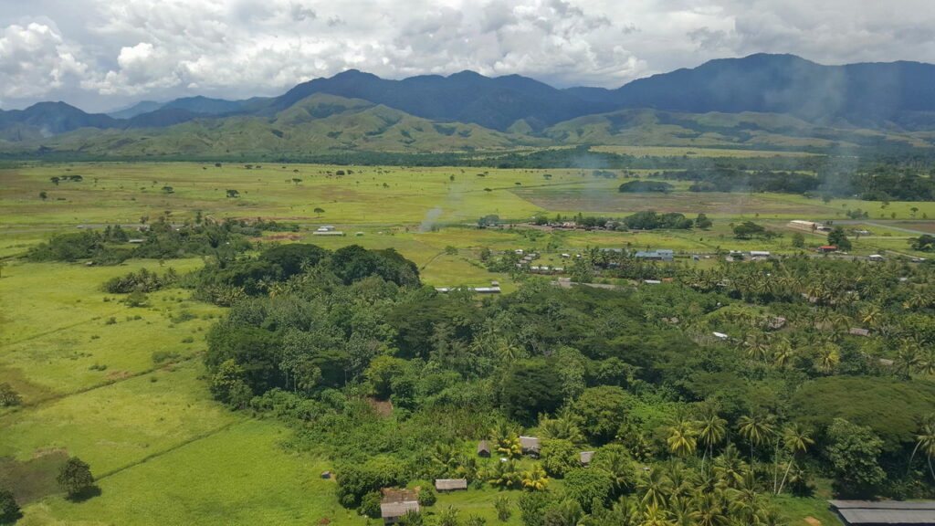 A serpente preta que intriga cientistas em Papua-Nova Guiné - Créditos: depositphotos.com / ekays