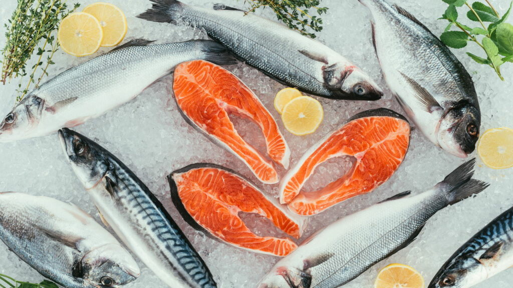 O suplemento natural vindo do peixe que pode mudar o futuro da medicina
