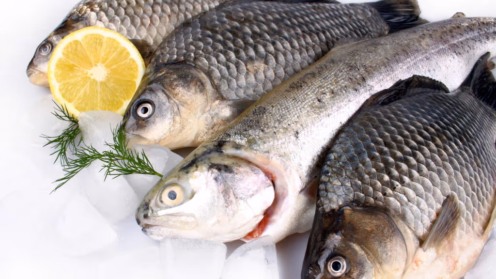 Esse alimento pode te tornar mais inteligente