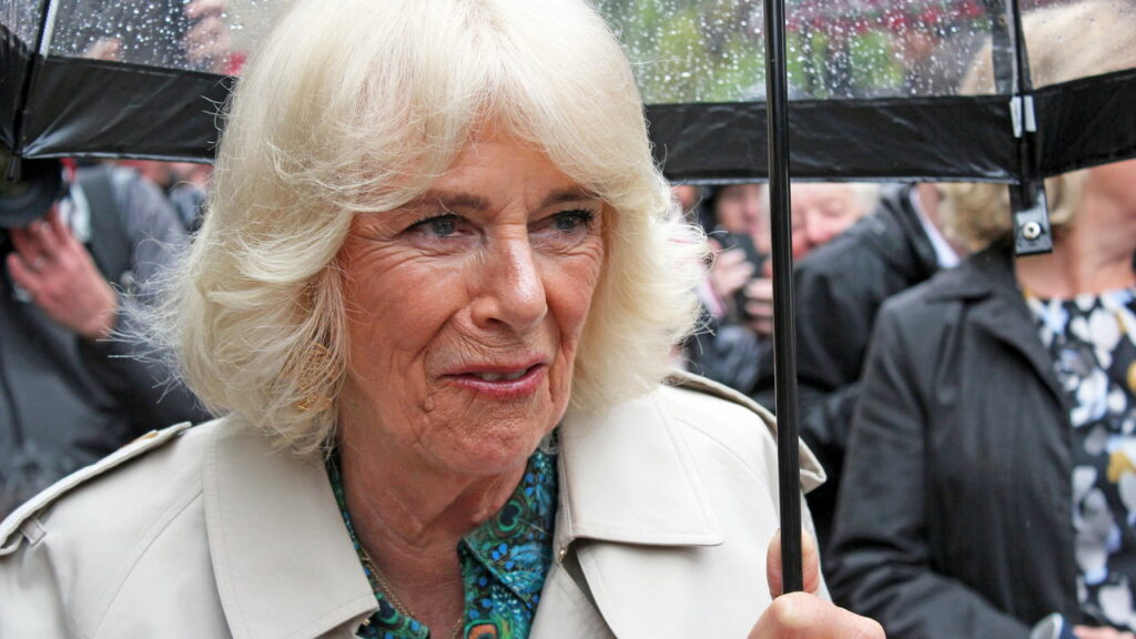 Rei Charles III e Rainha Camilla são flagrados em comoção