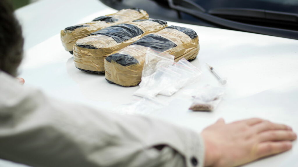 Apreensão confisca 310 kg de drogas no Pará