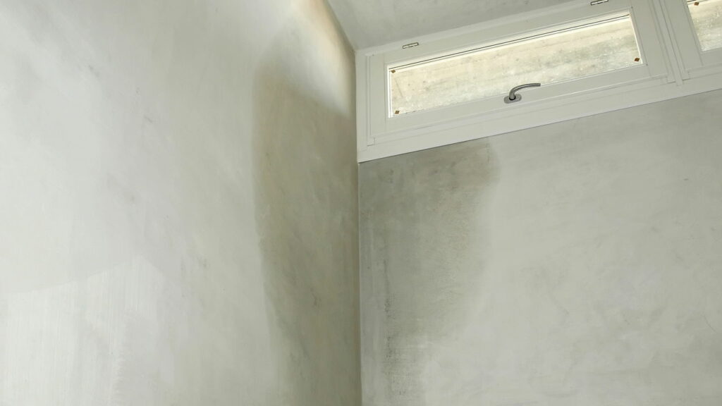 Veja como eliminar a umidade de casa e melhorar a qualidade do ar
