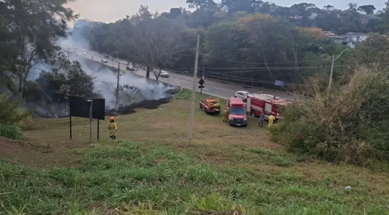 SP: Defesa Civil monitora cinco incêndios florestais