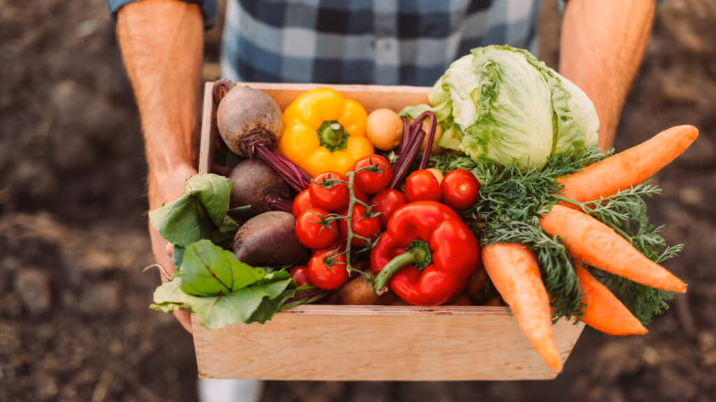 Os melhores vegetais para uma dieta leve e rica em fibras