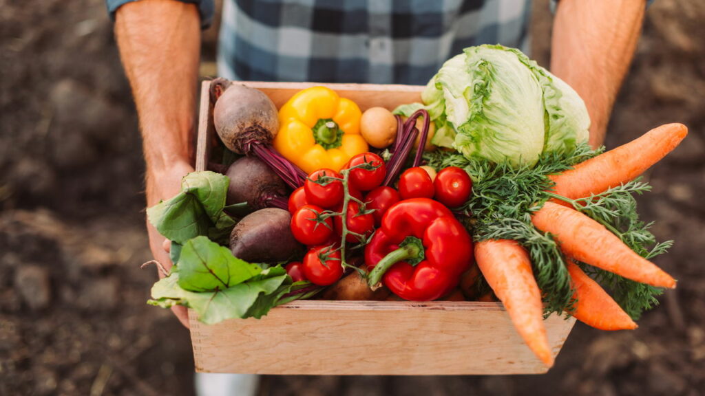 Os melhores vegetais para uma dieta leve e rica em fibras