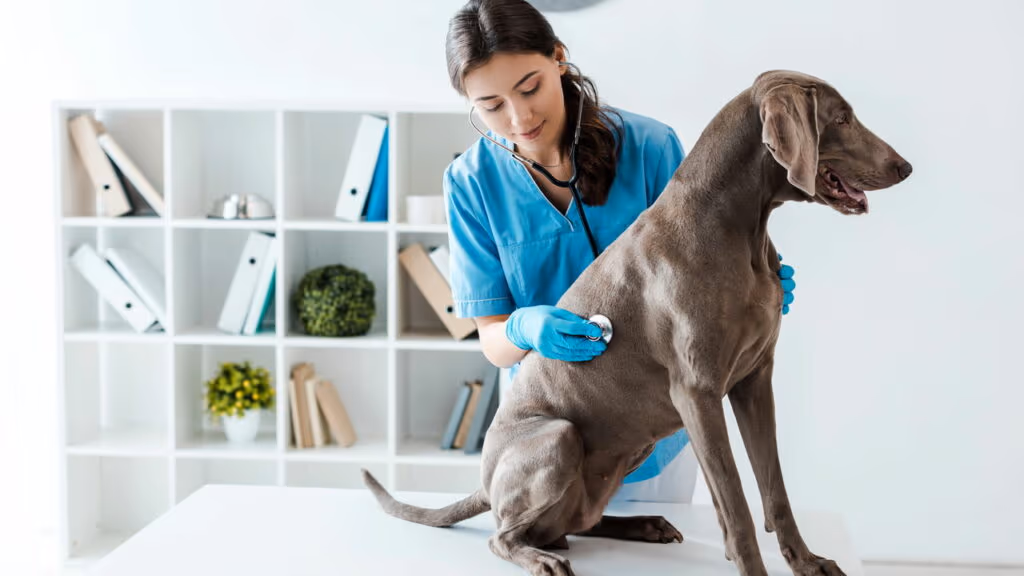 Essas profissões escondem oportunidades incríveis para quem ama animais