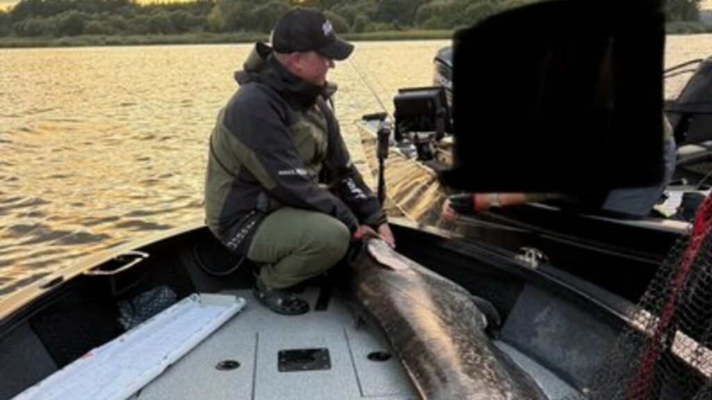 Bagre gigante de mais de 2 metros é capturado por pescadores e aterroriza por sua força