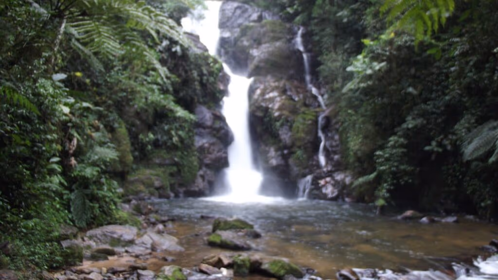 Essa cidade é um pequeno pedaço da Amazônia e está a apenas duas horas de SP