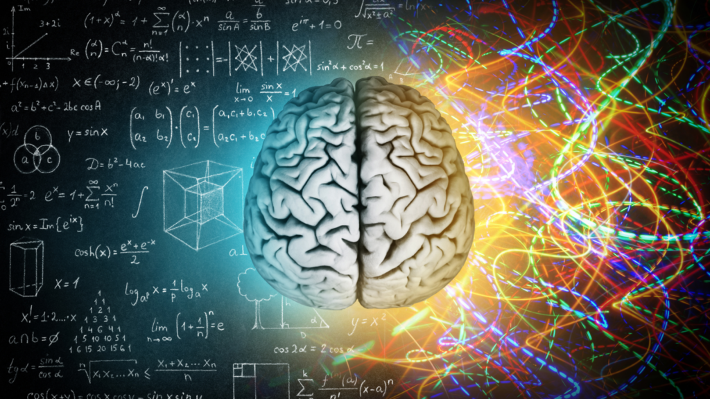 Medo de aprender coisa nova? Entenda a neuroplasticidade do cérebro adulto