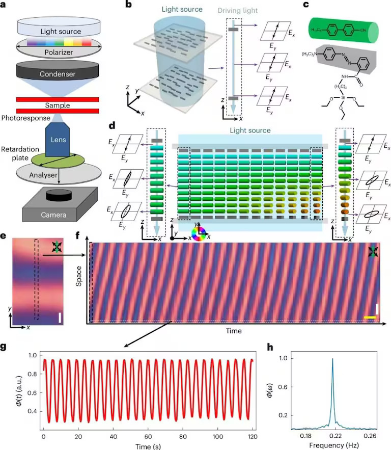 Cientistas criam o primeiro cristal observável a olho nu e acreditam que fenômeno pode ser mais comum na natureza do que se pensava