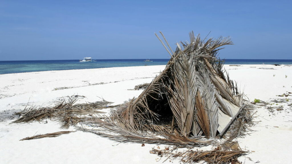 A ilha que já foi uma floresta é o aviso para o Brasil