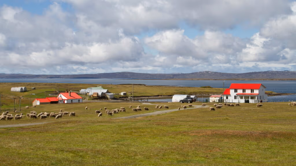 Cientistas descobrem por acaso ilha sem árvores já foi uma floresta tropical