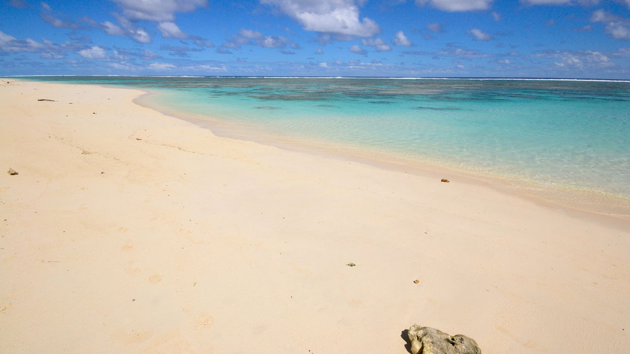 A ilha que já foi uma floresta é o aviso para o Brasil