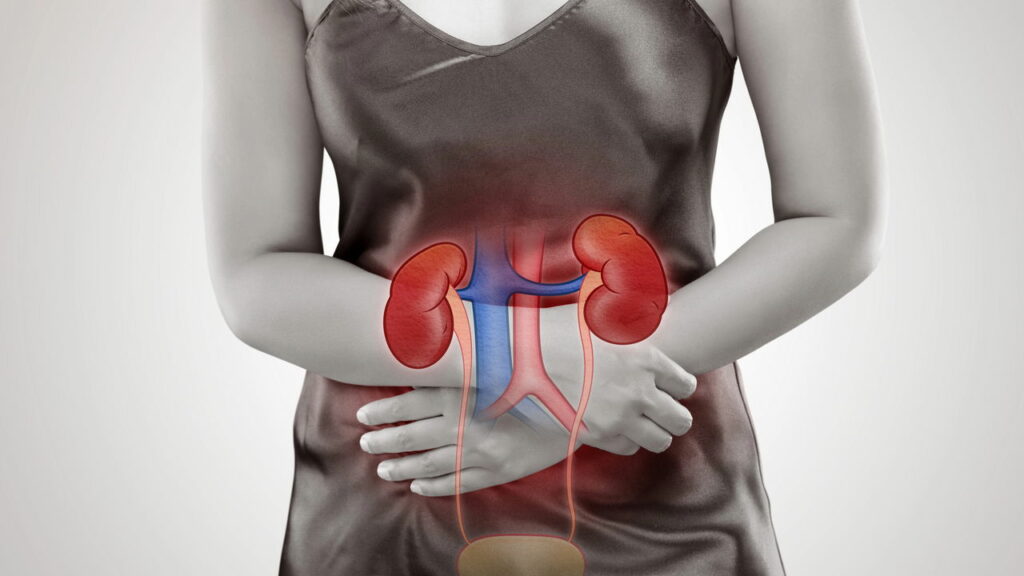 Você sente dor ao urinar? É isso que pode estar acontecendo com seus rins