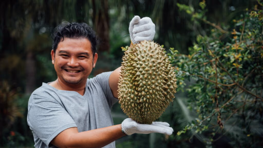 A fruta proibida que cheira tão mal que é banida em lugares públicos