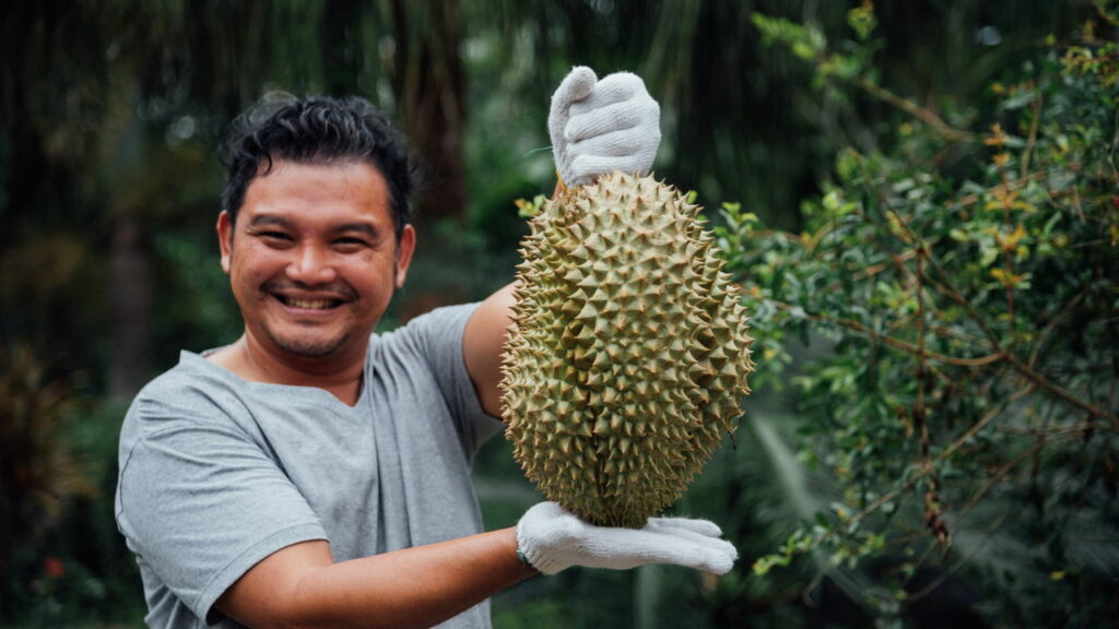A fruta proibida que cheira tão mal que é banida em lugares públicos