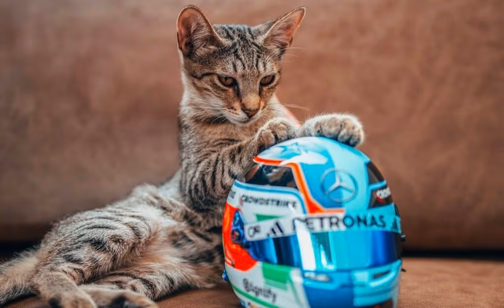 Gatinho Antonelli virou a estrela do GP do Azerbaijão de F1