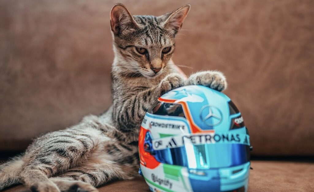 Gatinho Antonelli virou a estrela do GP do Azerbaijão de F1