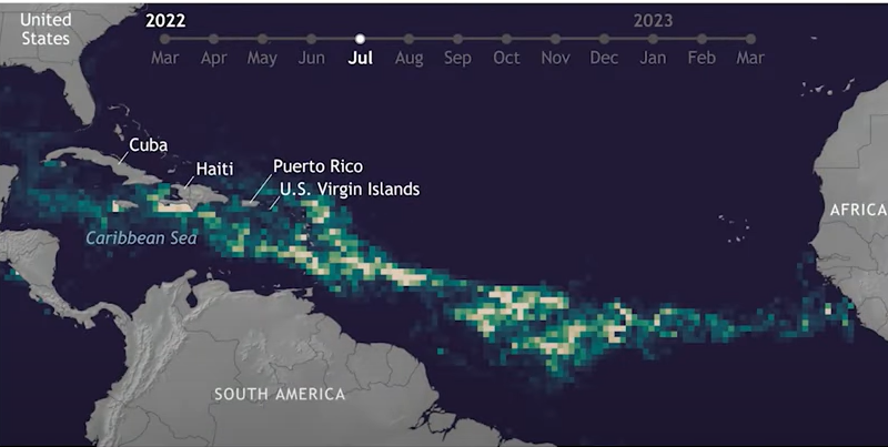 Cientistas alertam para uma faixa castanha do tamanho de um continente que se formou no oceano Atlântico Não é um bom sinal