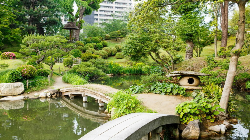 Planta que sobreviveu ao impacto da bomba de Hiroshima ainda floresce hoje