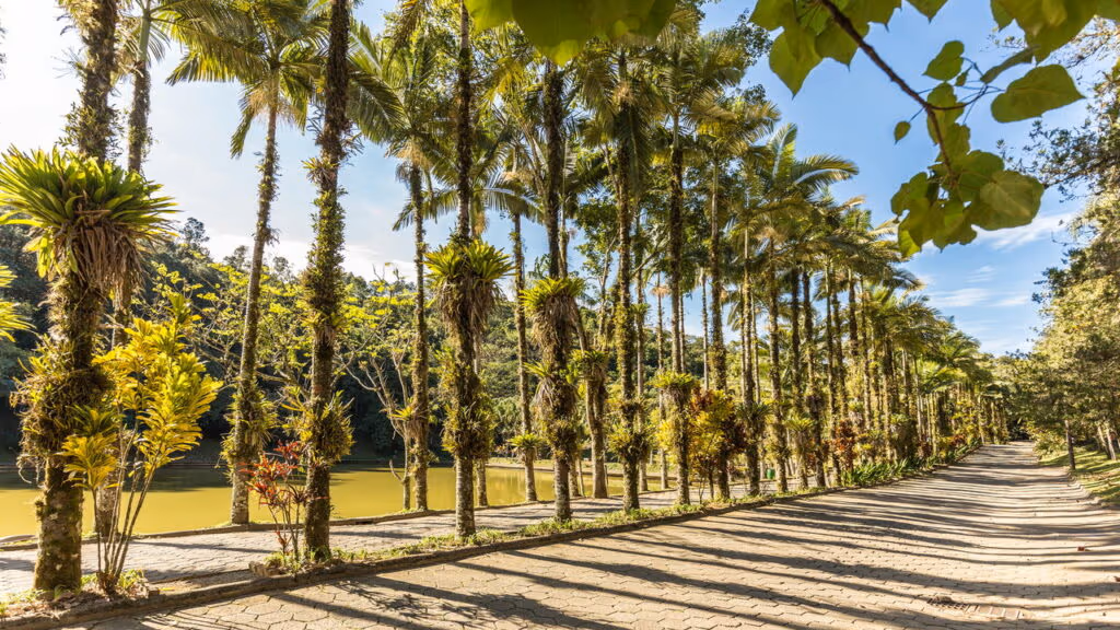 Se você tem um financiamento imobiliário quitado, este é o melhor estado para se aposentar