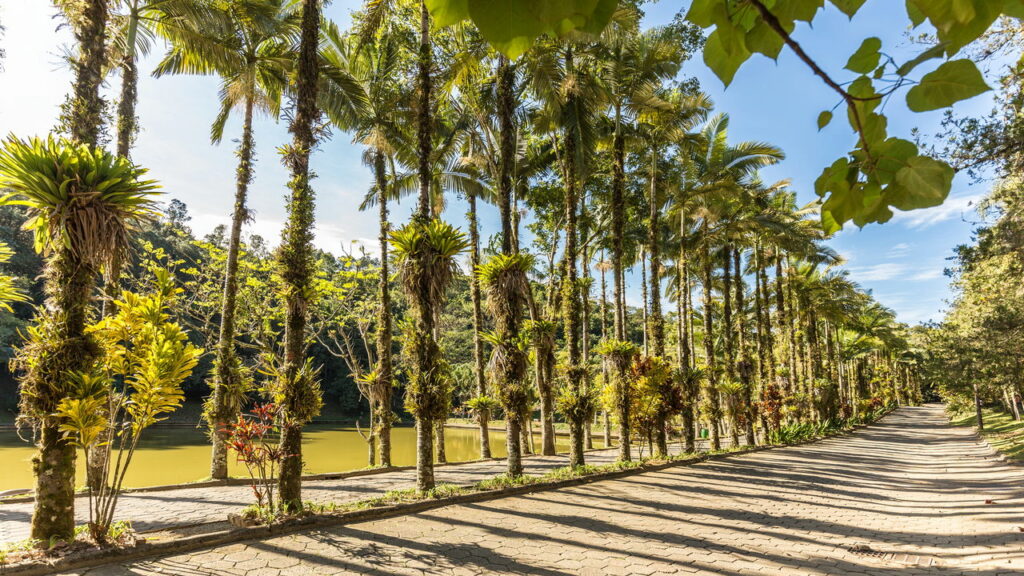 O segredo das cidades onde ninguém tranca as portas no Brasil
