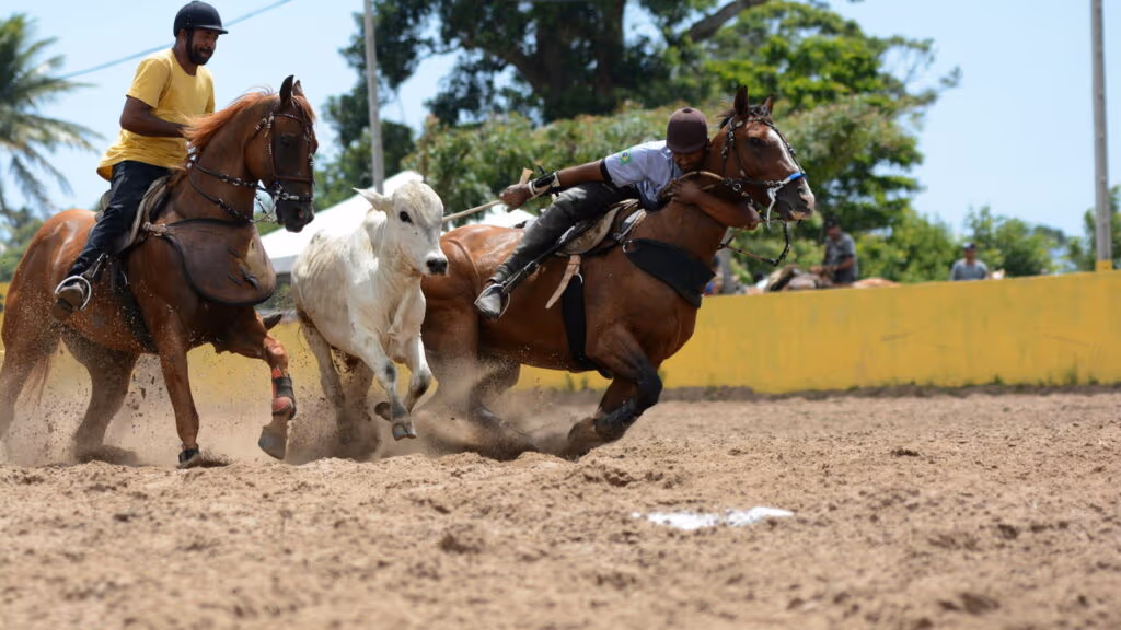 Justiça suspende ‘Festa do Peão’ a pedido do Ministério Público