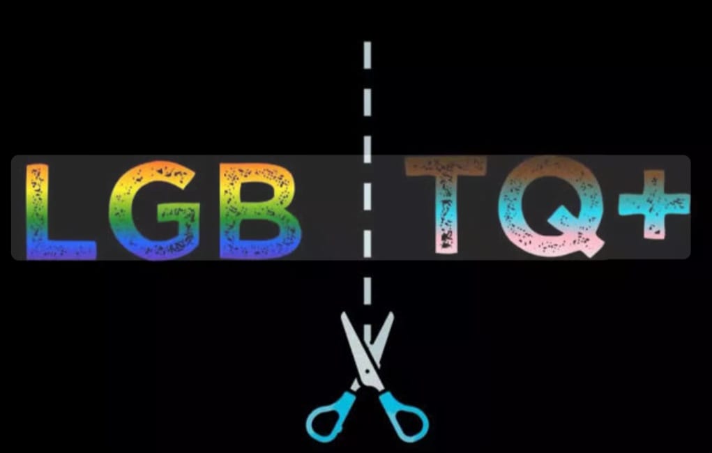 “LGB International”: gays, lésbicas e bissexuais declaram independência do ativismo trans