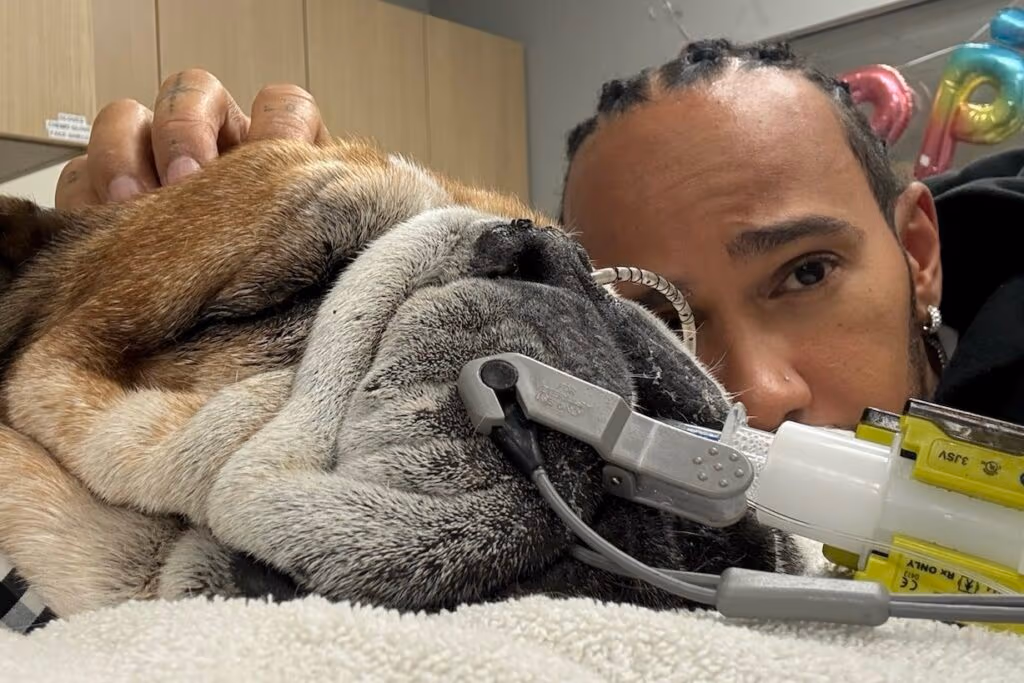 Lewis Hamilton amanhece de luto: “Morreu nos meus braços”
