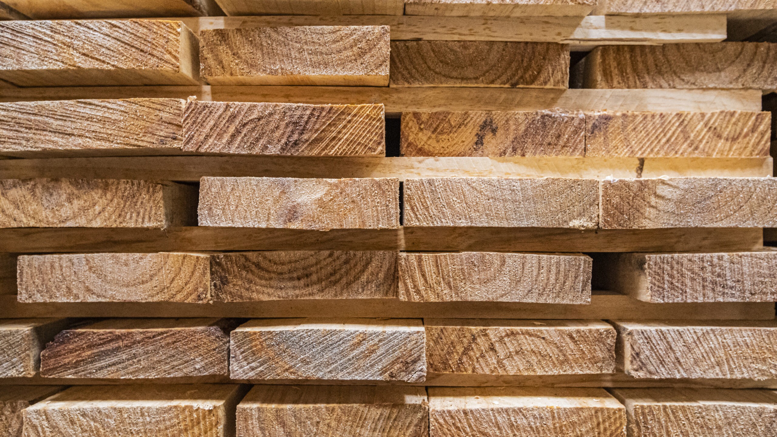 Trump impõe tarifas sobre madeira e móveis